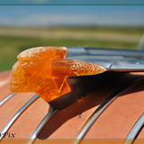 Vintage Pontiac Figurehead