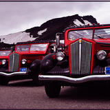 Glacier National Park White trucks vintage tour buses 2