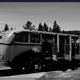 Yellowstone National Park vintage tour bus