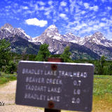 Bradley Lake sign background
