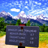 Bradley Lake sign foreground