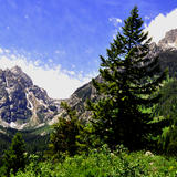 Jen on Bradley Lake trail