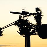 Full Throttle Saloon Ghost Rider