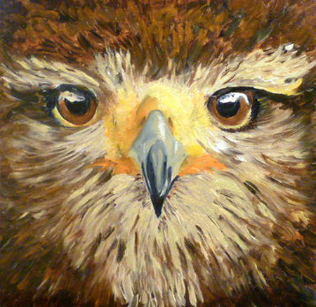 Hawk Sold