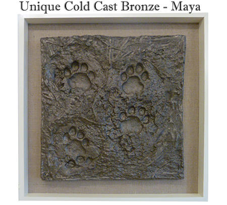 Unique 4 pugmarks - Maya. for The Big Cat Sanctuary