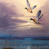 Mallards evening flight  SOLD