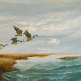 Flight over the marshes - Sold