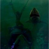 WRECK OF THE CURVEBALL FABRICATOR  [2008-2009]