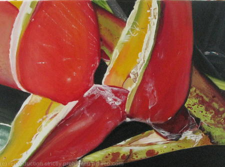 Heliconia (Red)