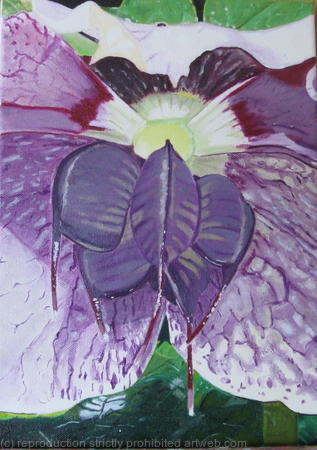 hellebore