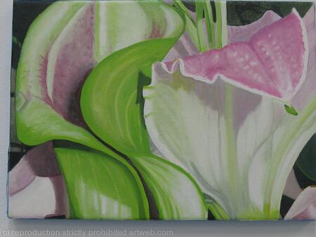 Calla and Syargazer Lilies