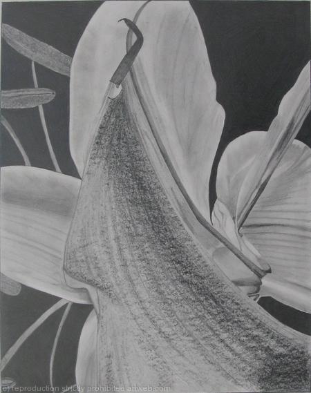 Lillies II