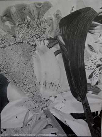 Black Calla and Cockscomb