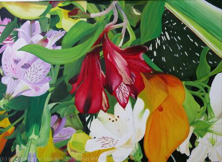  Alstroemeria Red, White & Lilac