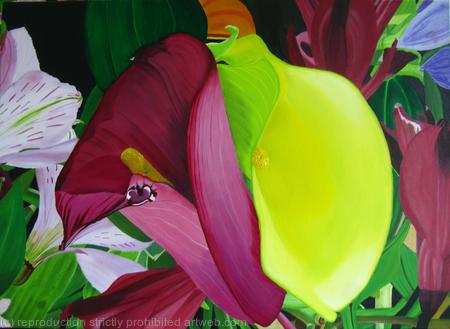Calla Lilies 