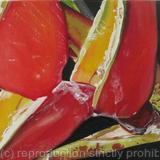 Heliconia (Red)