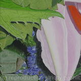 1st Painting 1st Bouquet