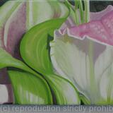 Calla and Syargazer Lilies