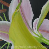 1st Small Painting 2nd Bouquet