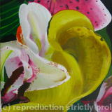  2nd Small Painting 2nd Bouquet