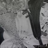 Black Calla and Cockscomb