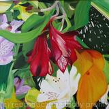  Alstroemeria Red, White & Lilac