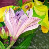 Lilac Alstroemeria