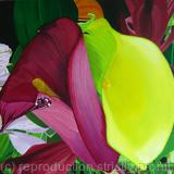 Calla Lilies 