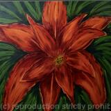 Orange Double Day Lily