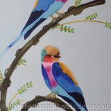 Lilac Breasted African Roller Birds