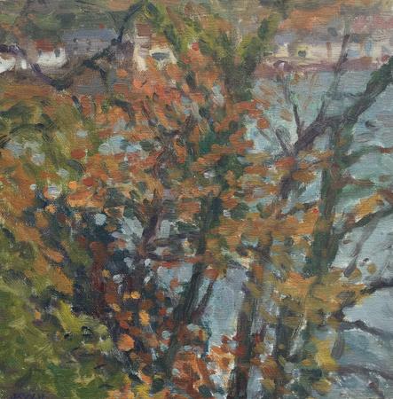 Penlee Woods, Autumn