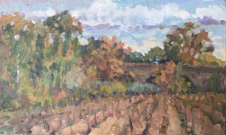 New Vines, October Afternoon