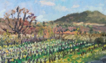 Vineyards on the Road to Pouzolles, Spring