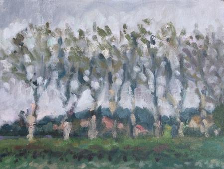 Avenue de Roujan in Spring Rain