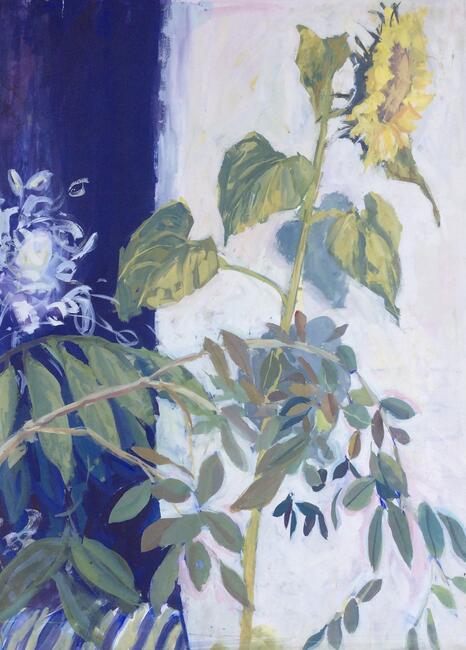 Sunflower and Honesty against Blue Background 