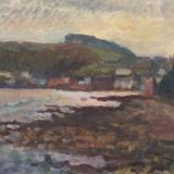 November Evening Sun