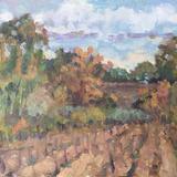 New Vines, October Afternoon