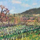 Vineyards on the Road to Pouzolles, Spring