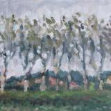 Avenue de Roujan in Spring Rain