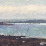 July Morning with Blue Mt Edgcumbe