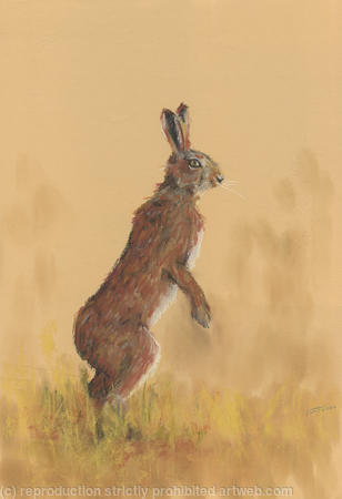 March Hare