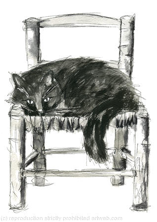 Cat on a chair