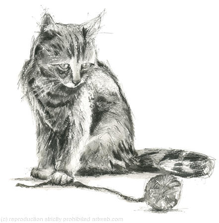 cat and ball of wool