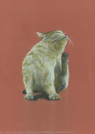 A really good scratch