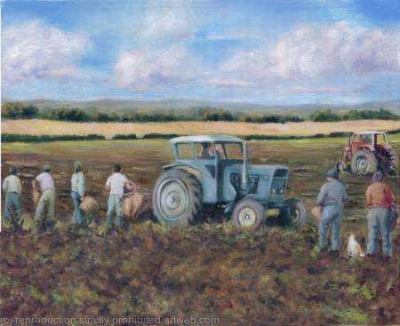 Picking the Tatties
