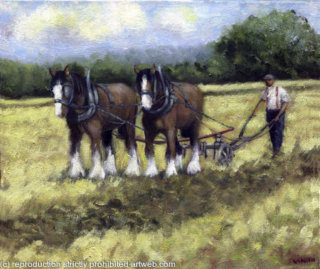 farm horses