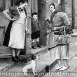 will-you-buy-some-lucky-heather