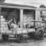 Stacking the hay bales