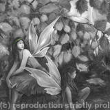 At the bottom of the garden