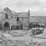 Kepier Farm. Waiting till the cows come home